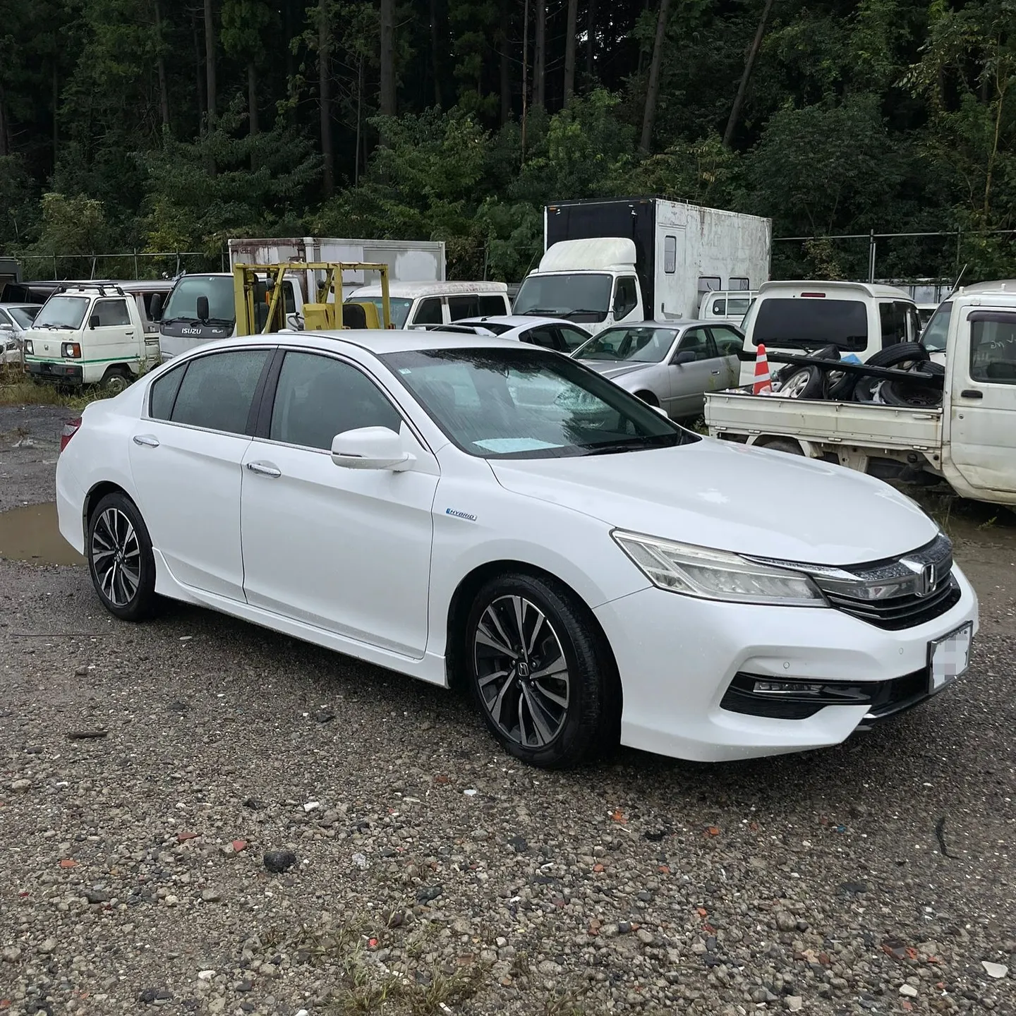 Oyama Trading Company(OTC) 