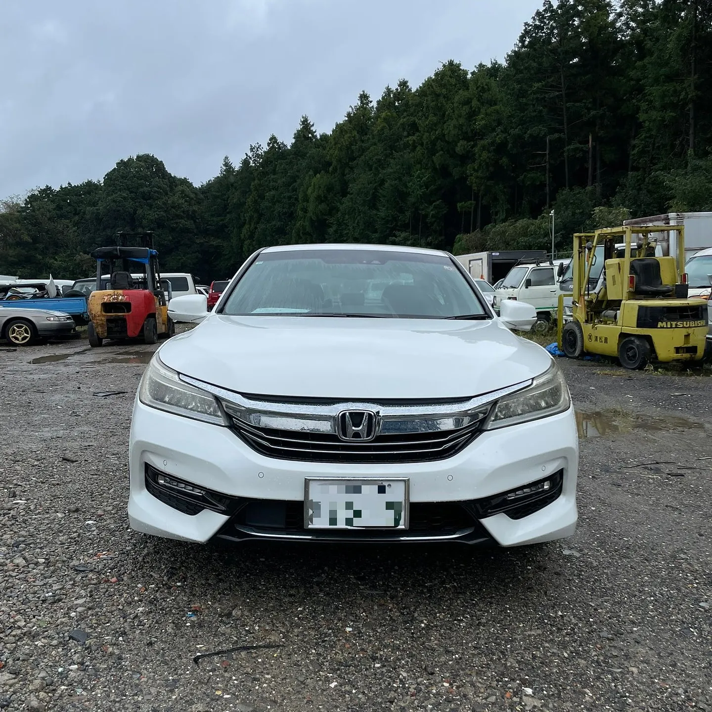 Oyama Trading Company(OTC) 