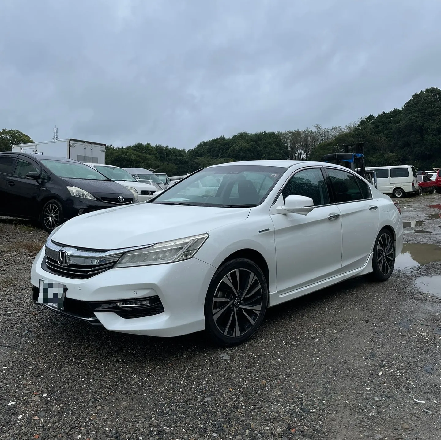 Oyama Trading Company(OTC) 