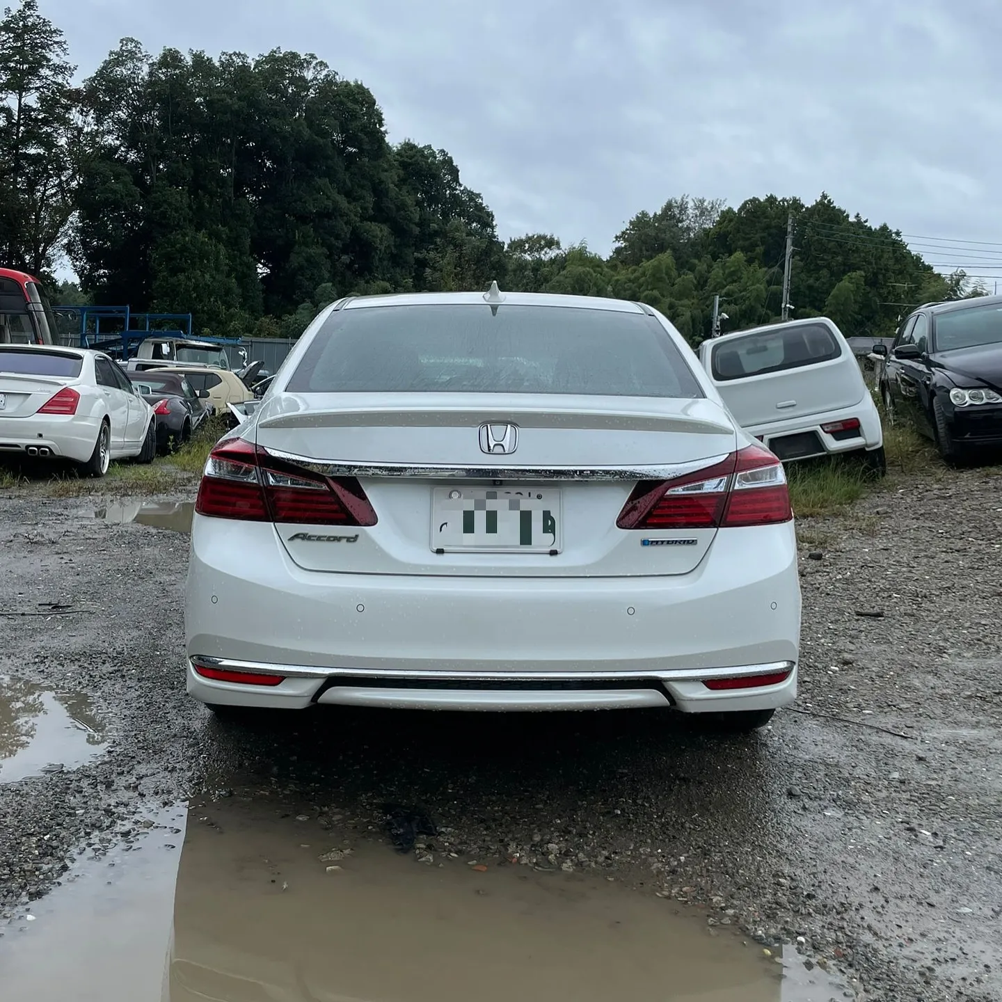 Oyama Trading Company(OTC) 