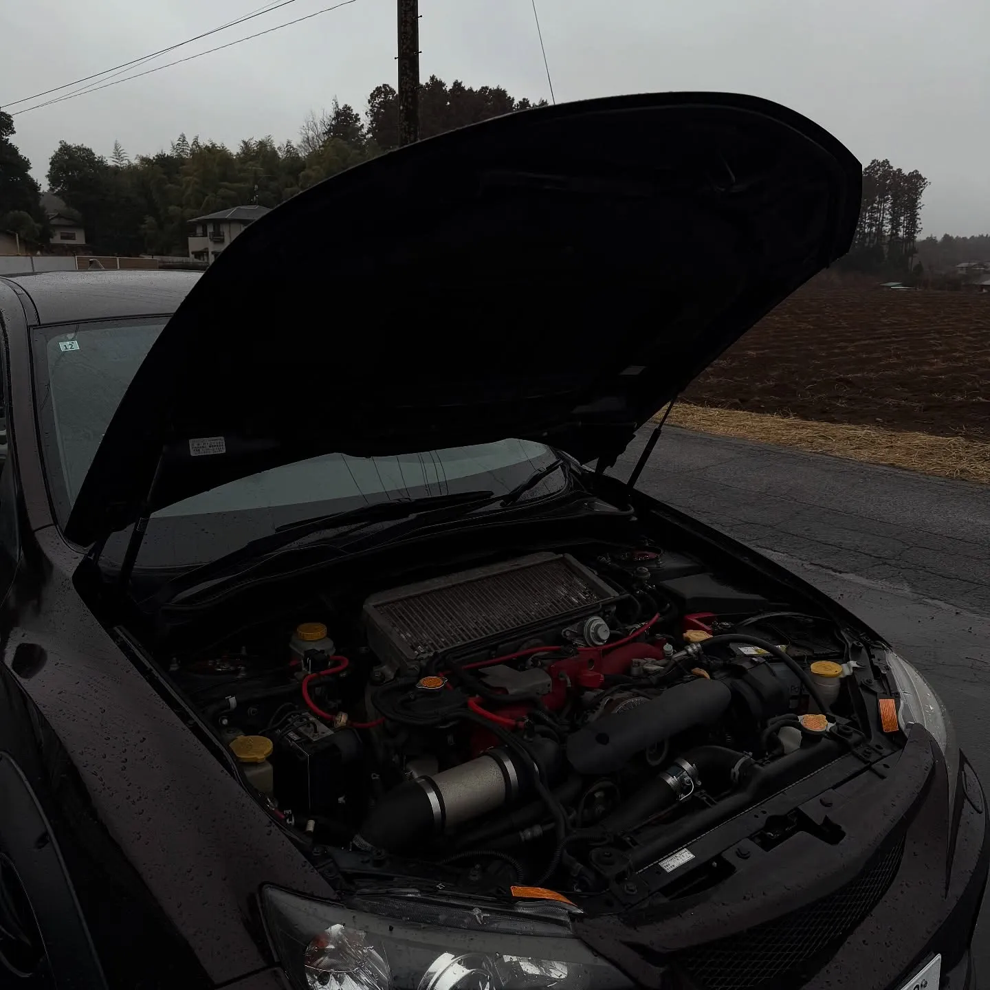 Oyama Trading Company(OTC) 