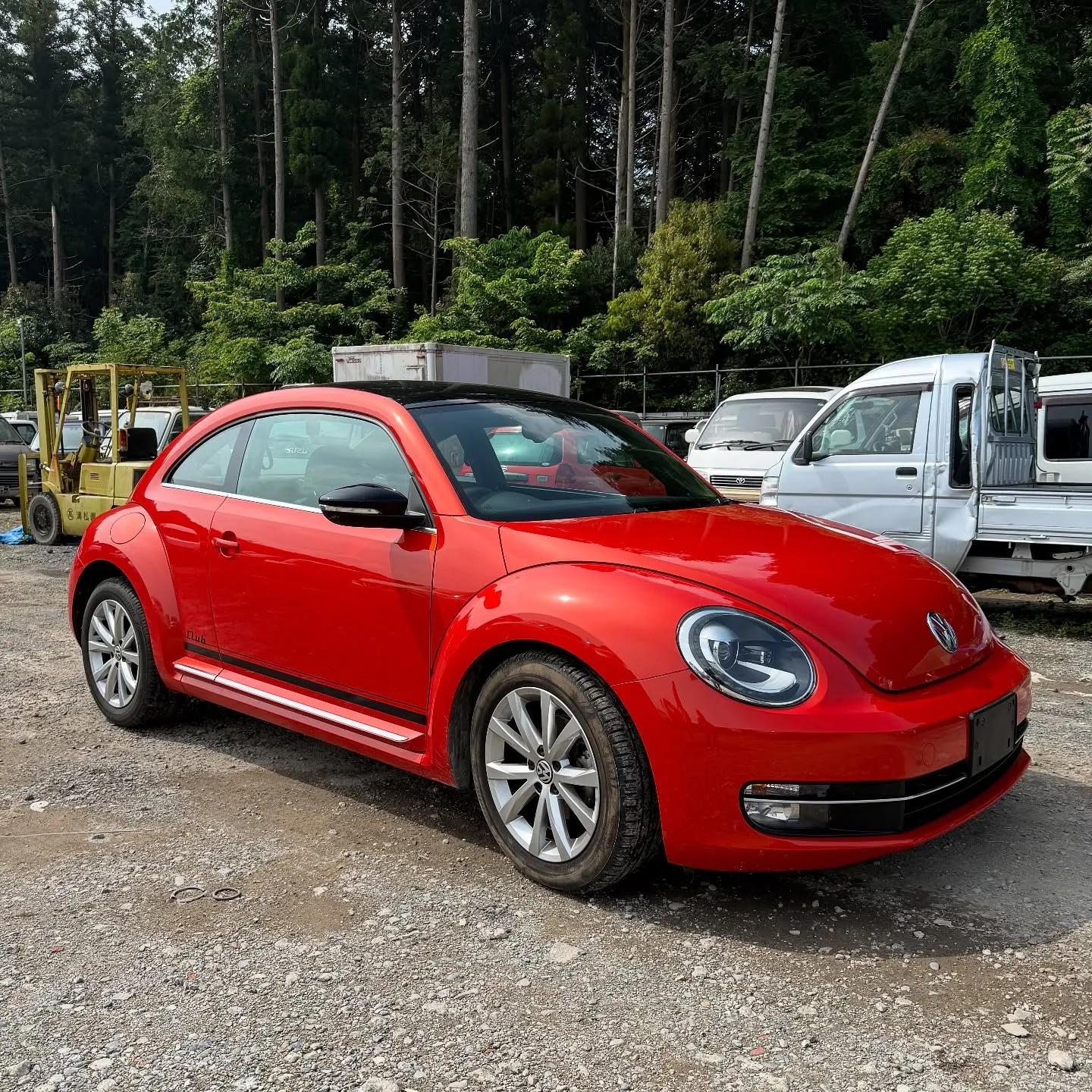 Oyama Trading Company(OTC) 