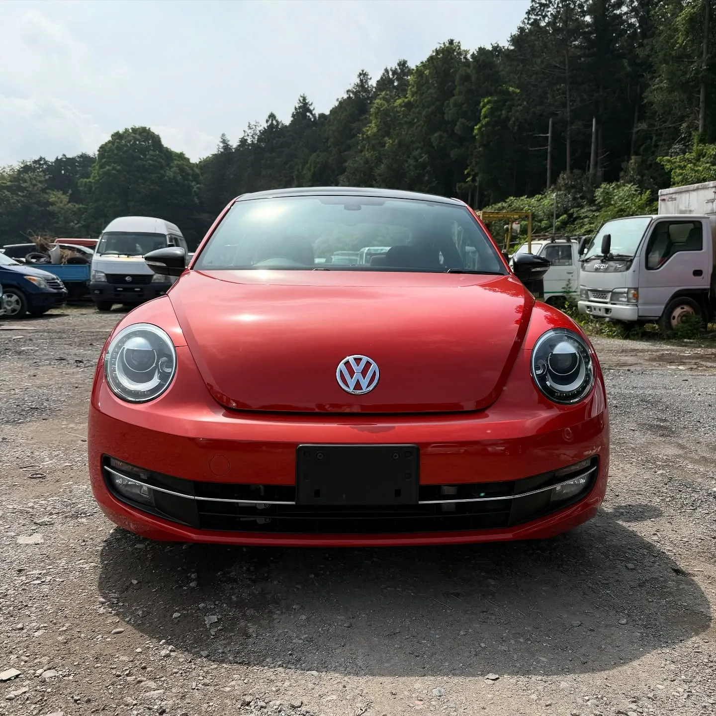 Oyama Trading Company(OTC) 