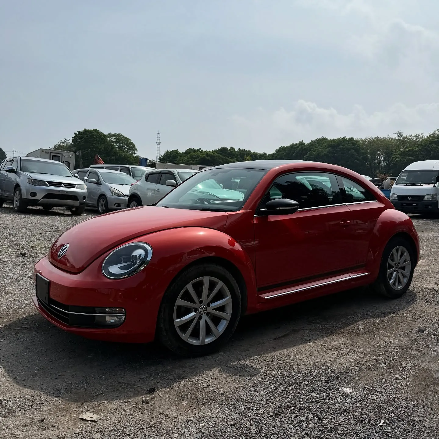 Oyama Trading Company(OTC) 