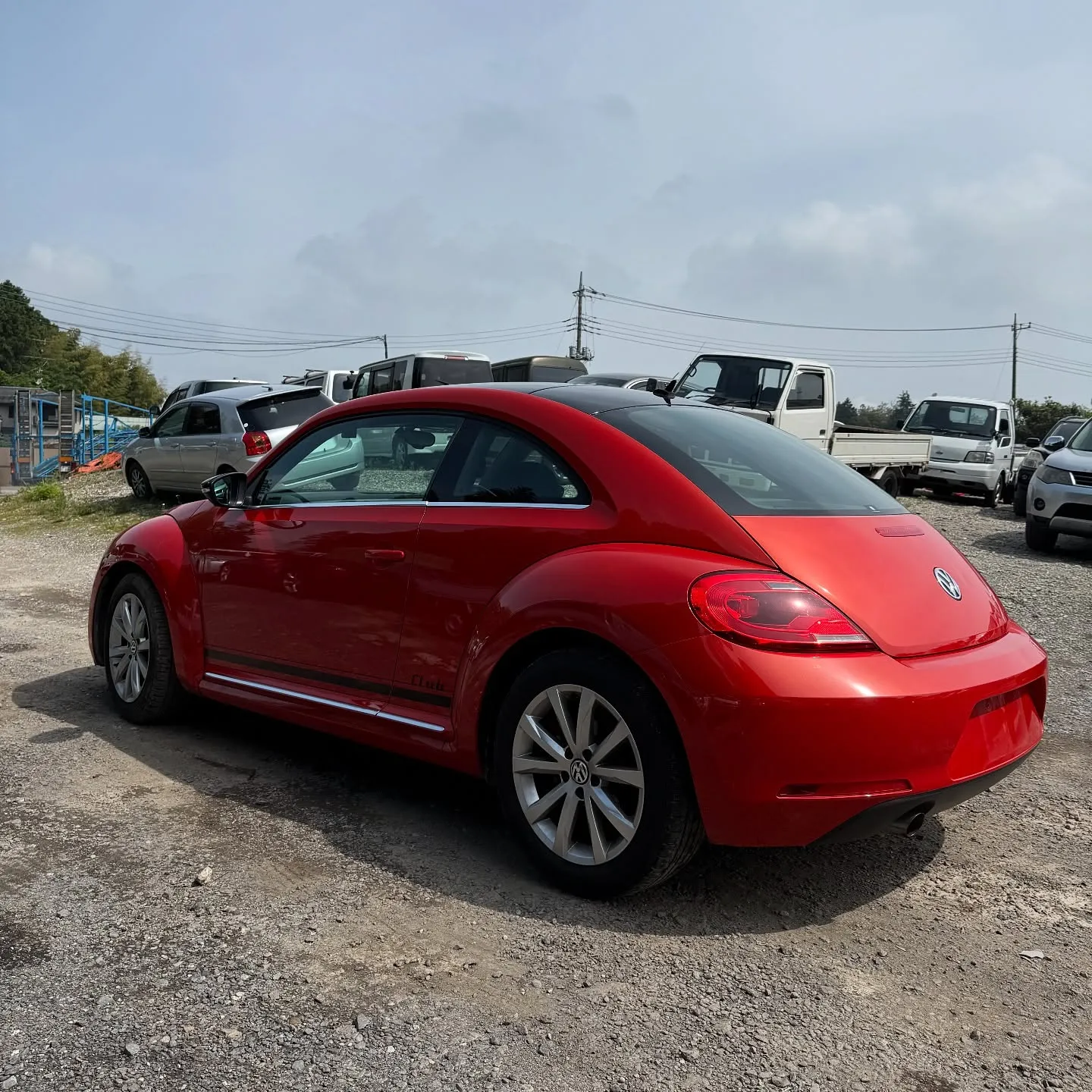 Oyama Trading Company(OTC) 