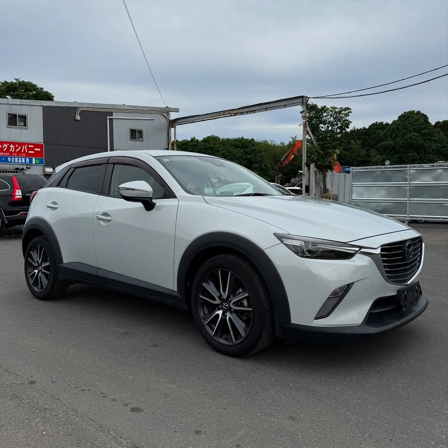 Oyama Trading Company(OTC) 