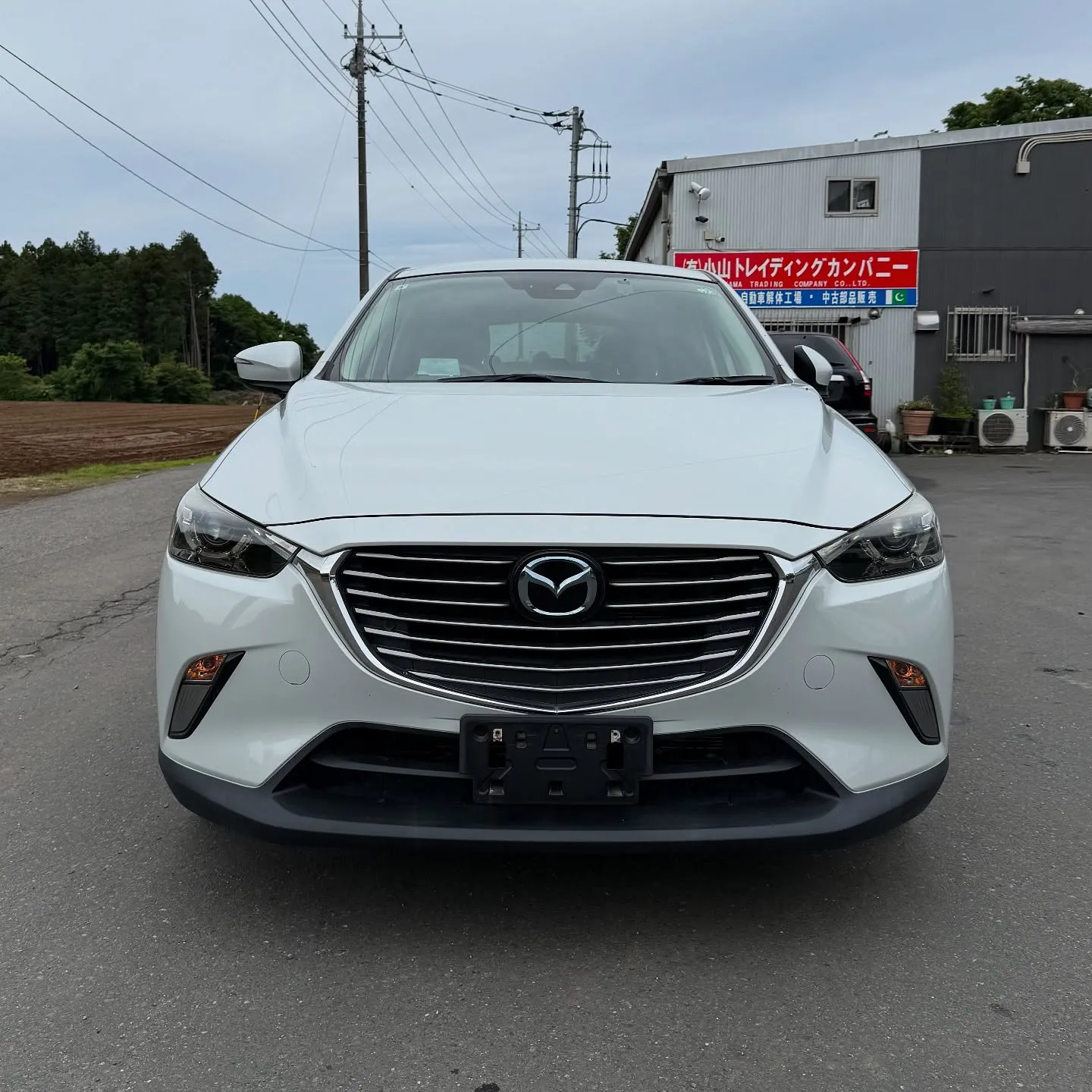 Oyama Trading Company(OTC) 