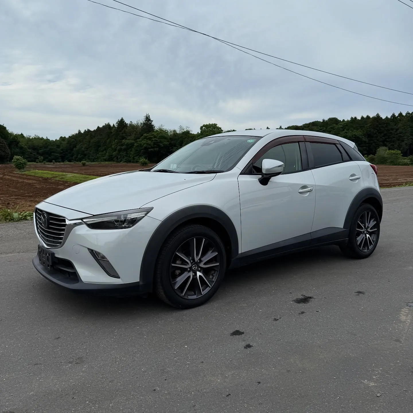 Oyama Trading Company(OTC) 