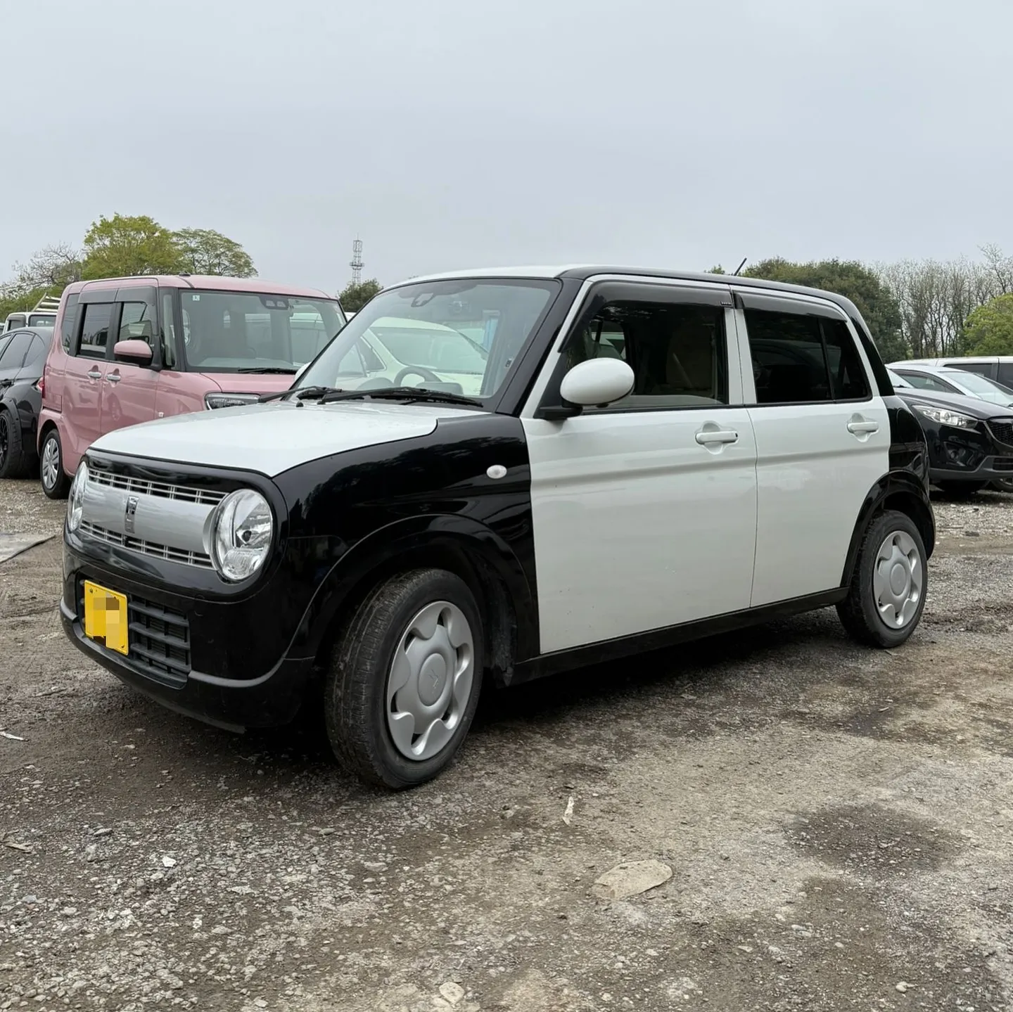 Oyama Trading Company(OTC) 