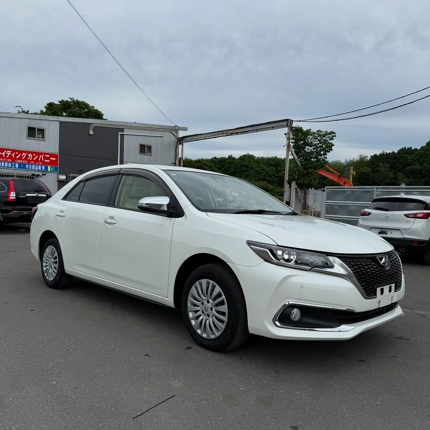 Oyama Trading Company(OTC) 