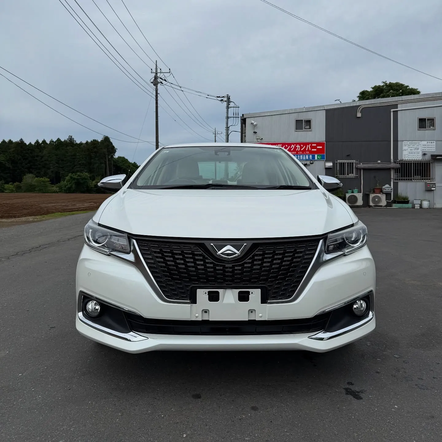 Oyama Trading Company(OTC) 