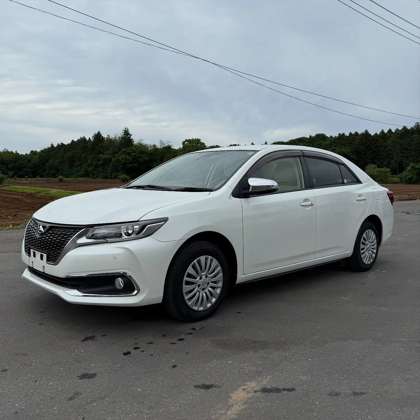 Oyama Trading Company(OTC) 