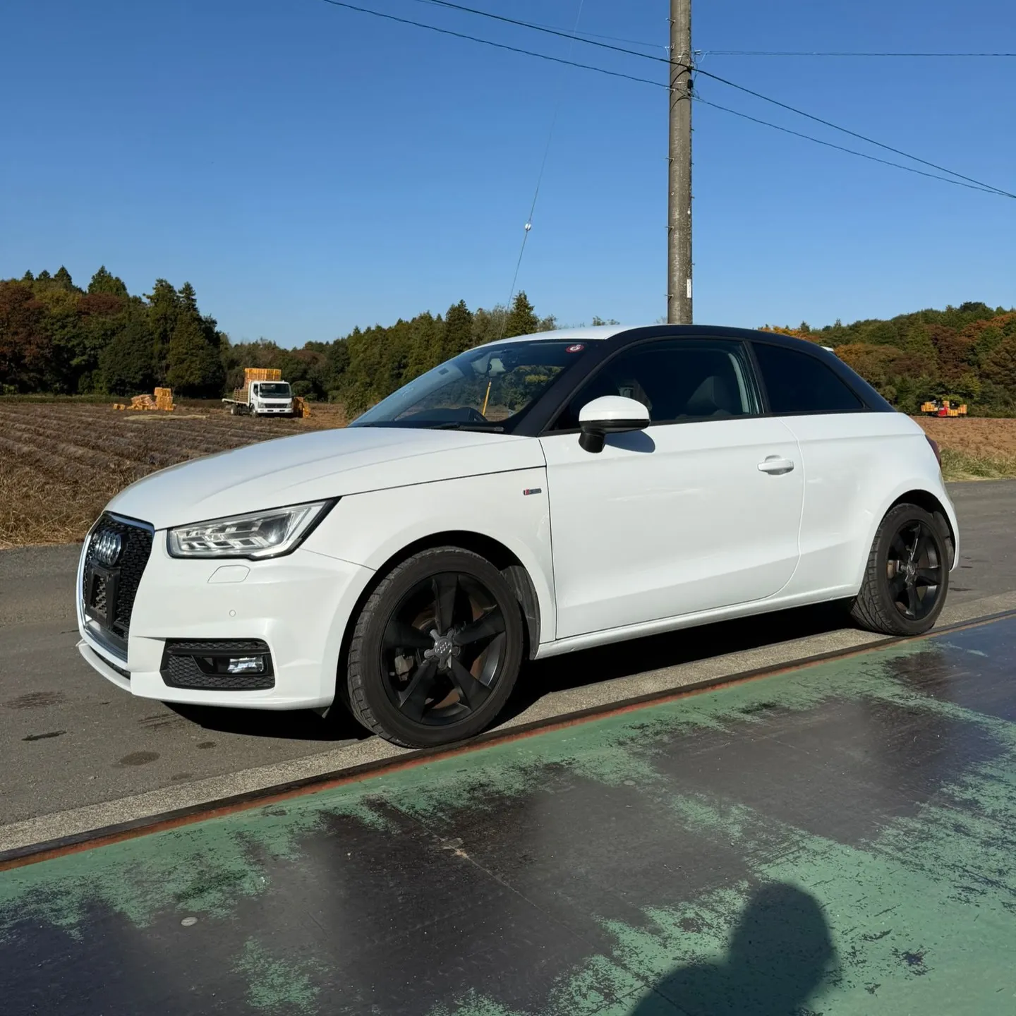 Oyama Trading Company(OTC) 